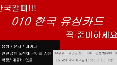 010 한국 선불 유심카드 판매 .../ 8 월부터 KT 판매 개시
